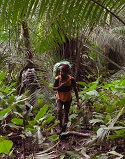 Through the jungle