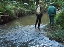 Trekking through a forest creek
