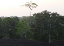 Panorama vanaf een heuveltop