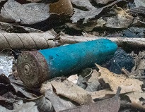 Mensen-sporen