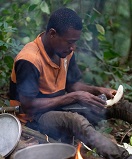 Jungle kok