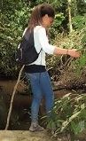 Oversteek van een bosbeek (2)